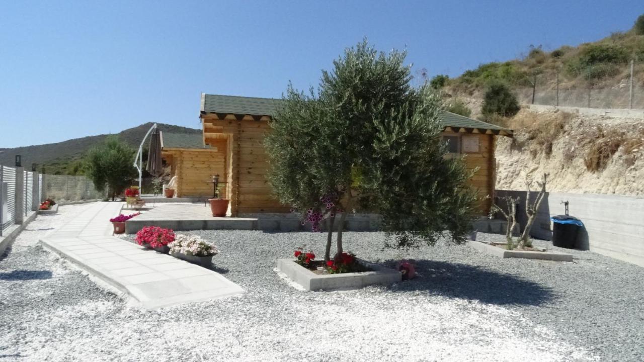 فيلا Happy Glamping Cy Agios Theodoros المظهر الخارجي الصورة
