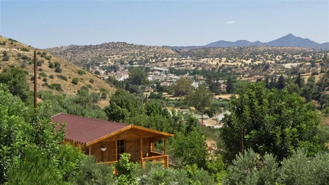 فيلا Happy Glamping Cy Agios Theodoros المظهر الخارجي الصورة