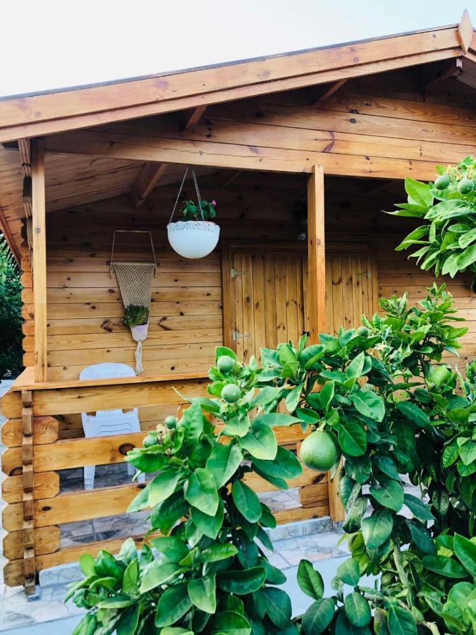 فيلا Happy Glamping Cy Agios Theodoros المظهر الخارجي الصورة