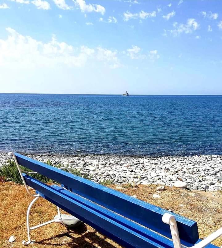 فيلا Happy Glamping Cy Agios Theodoros المظهر الخارجي الصورة