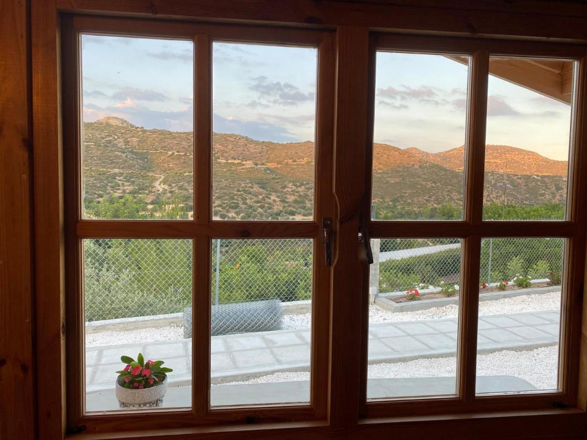 فيلا Happy Glamping Cy Agios Theodoros المظهر الخارجي الصورة