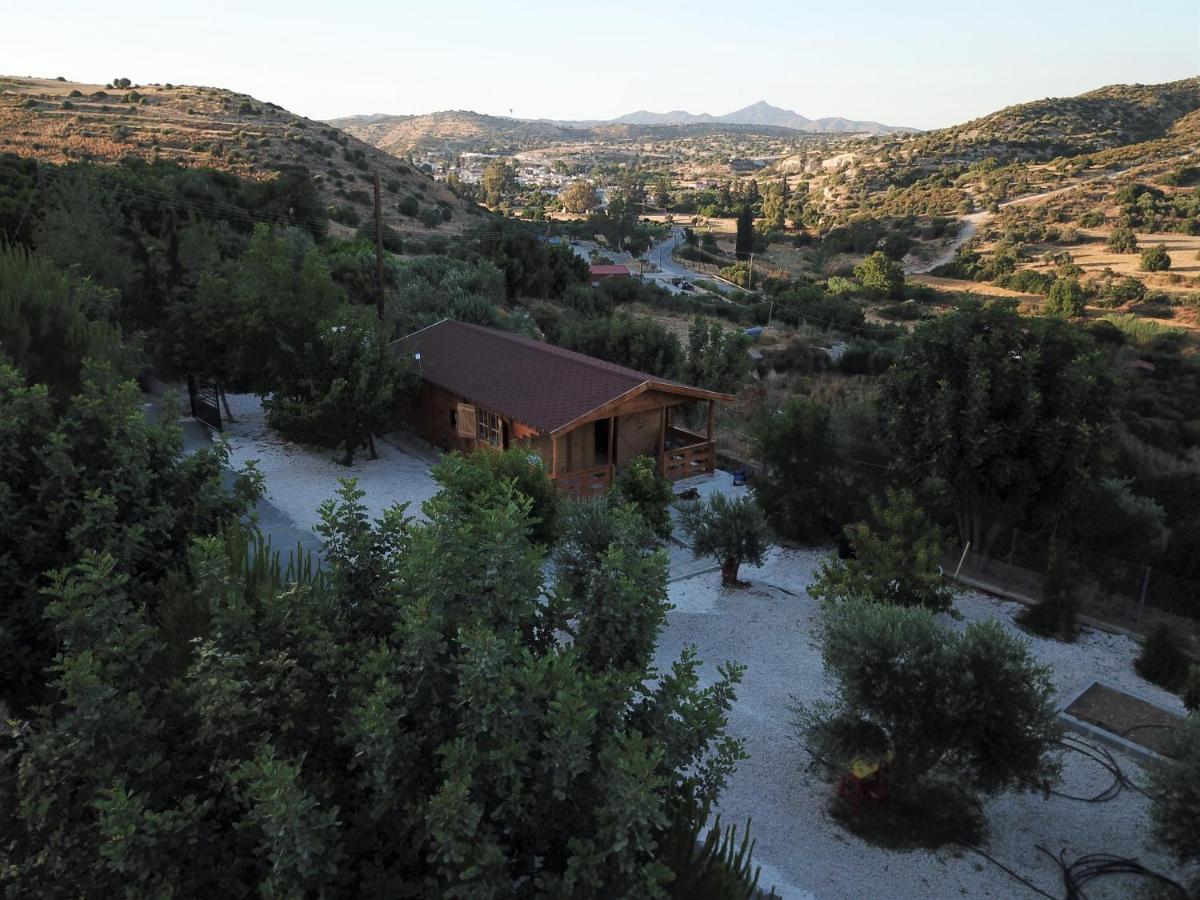 فيلا Happy Glamping Cy Agios Theodoros المظهر الخارجي الصورة