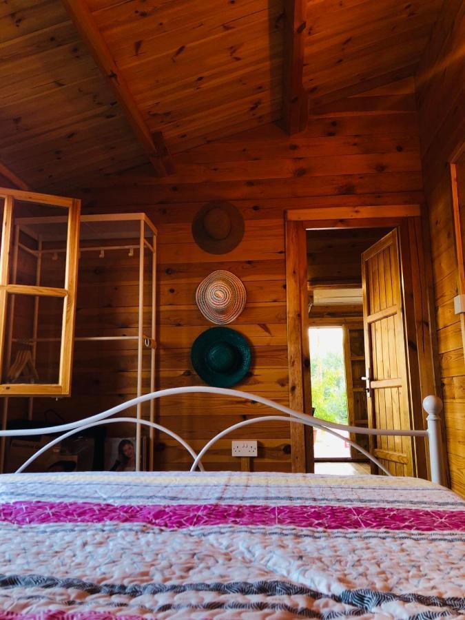فيلا Happy Glamping Cy Agios Theodoros المظهر الخارجي الصورة