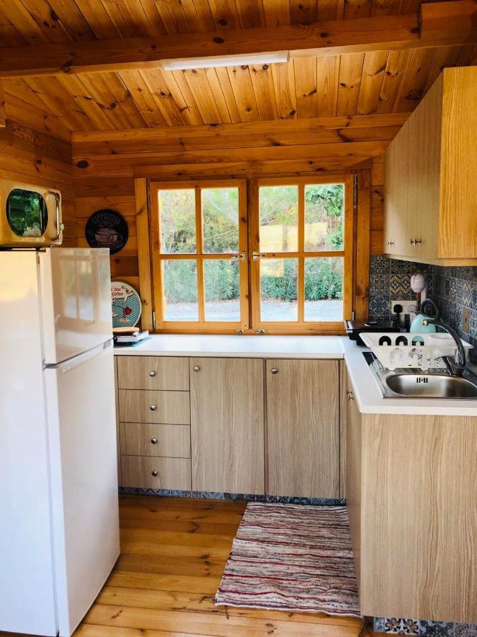 فيلا Happy Glamping Cy Agios Theodoros المظهر الخارجي الصورة