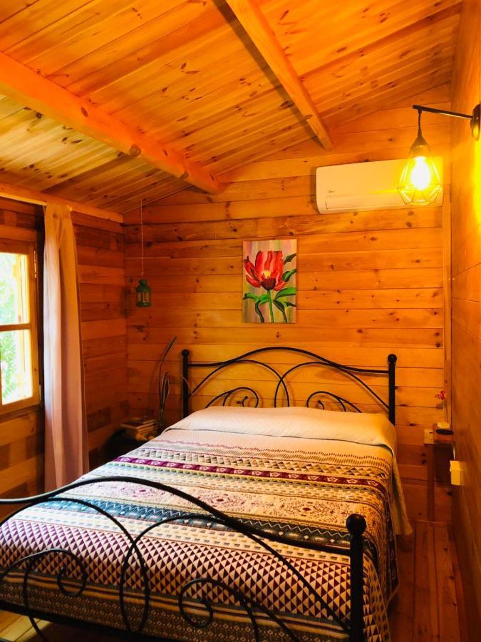 فيلا Happy Glamping Cy Agios Theodoros المظهر الخارجي الصورة