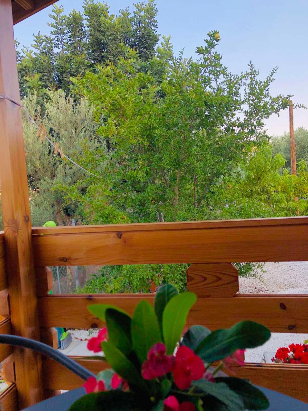 فيلا Happy Glamping Cy Agios Theodoros الغرفة الصورة