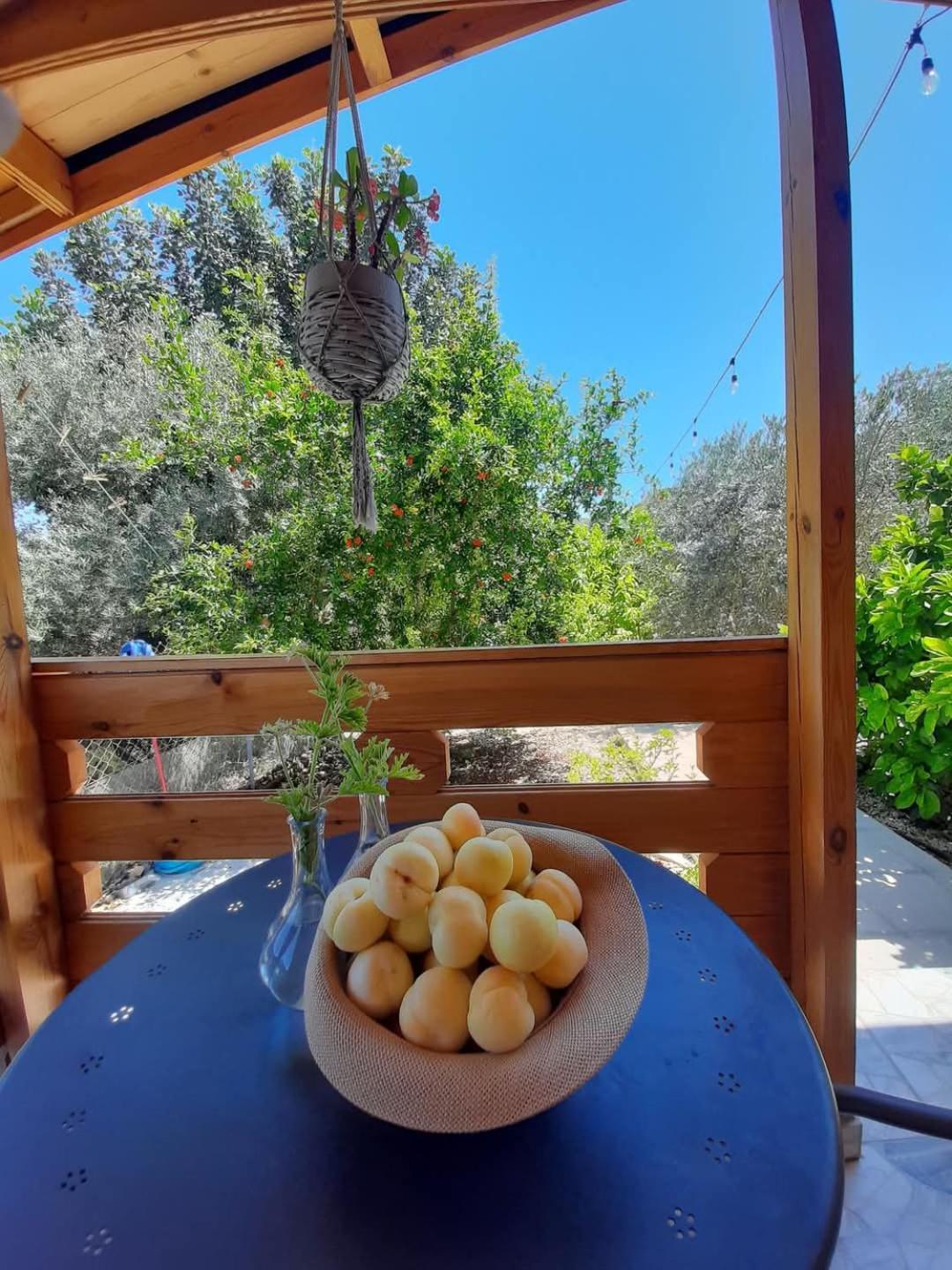 فيلا Happy Glamping Cy Agios Theodoros المظهر الخارجي الصورة