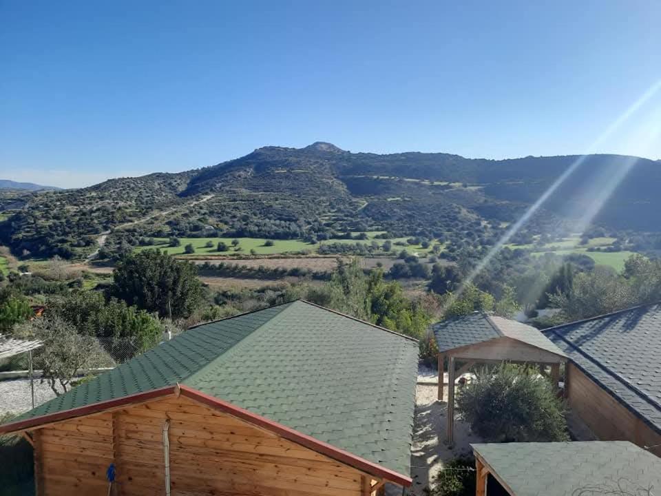 فيلا Happy Glamping Cy Agios Theodoros المظهر الخارجي الصورة