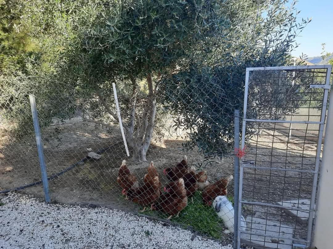 فيلا Happy Glamping Cy Agios Theodoros المظهر الخارجي الصورة